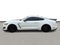 2019 Ford Mustang Shelby GT350