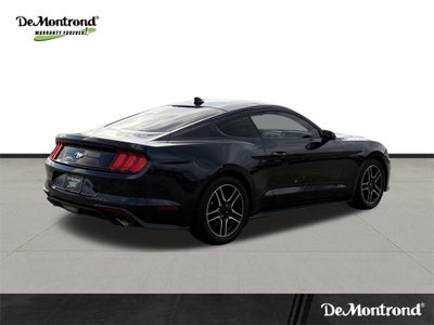 2021 Ford Mustang EcoBoost