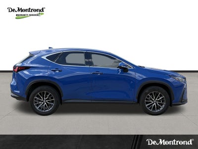 2023 Lexus NX 250 Premium